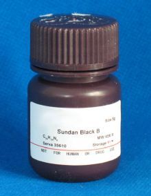 苏丹黑bsudanblackb